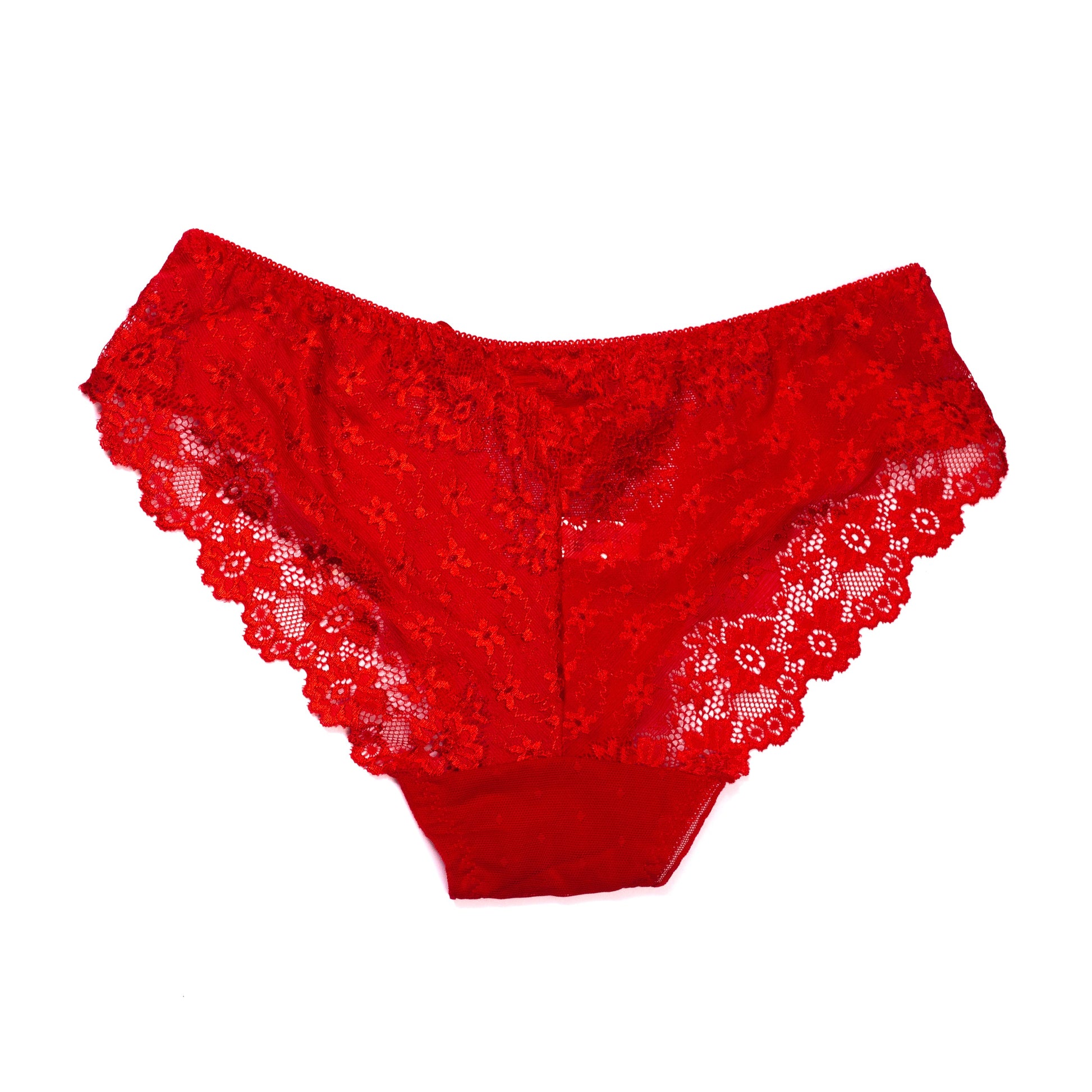 Softy Wear Flowers Embroidery Net Panty red quality best quality net panties for women and ladies price in pakistan