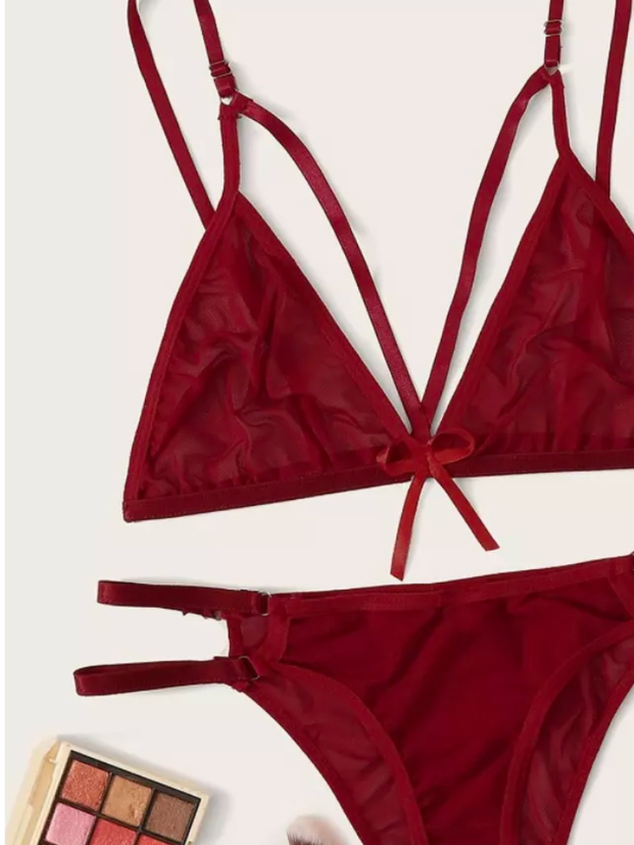 TNW Ex Maroon Sexy Transparent Bikini Set